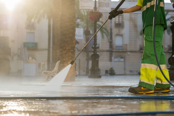 Boat and Dock Cleaning in Wayne, MI